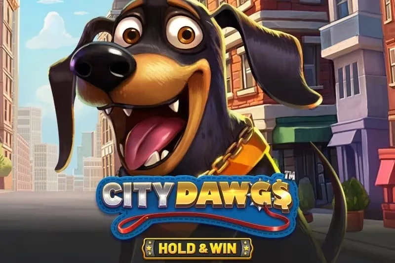 City Dawgs - Hold & Win